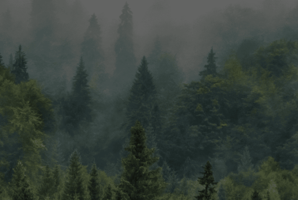 Header - 10 Essential Marketing Strategies for Small and Medium-Sized Businesses