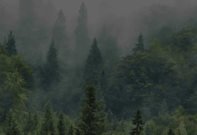 Header - 10 Essential Marketing Strategies for Small and Medium-Sized Businesses