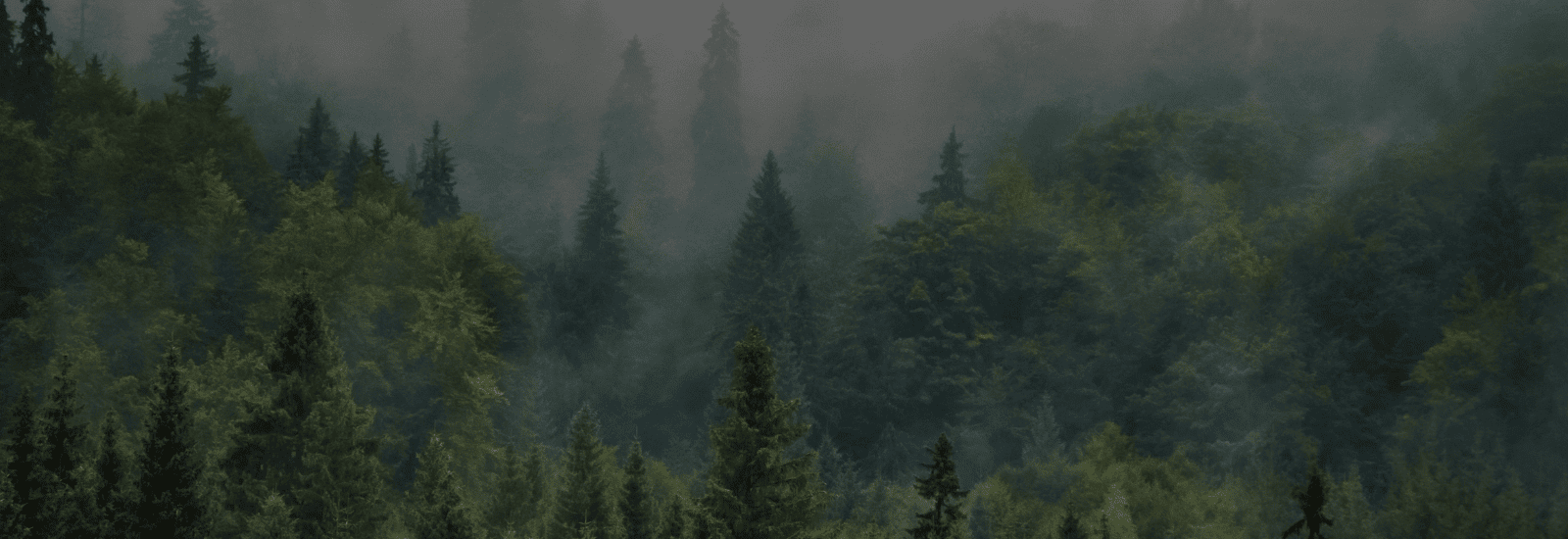 10 Essential Marketing Strategies for Small and Medium-Sized Businesses